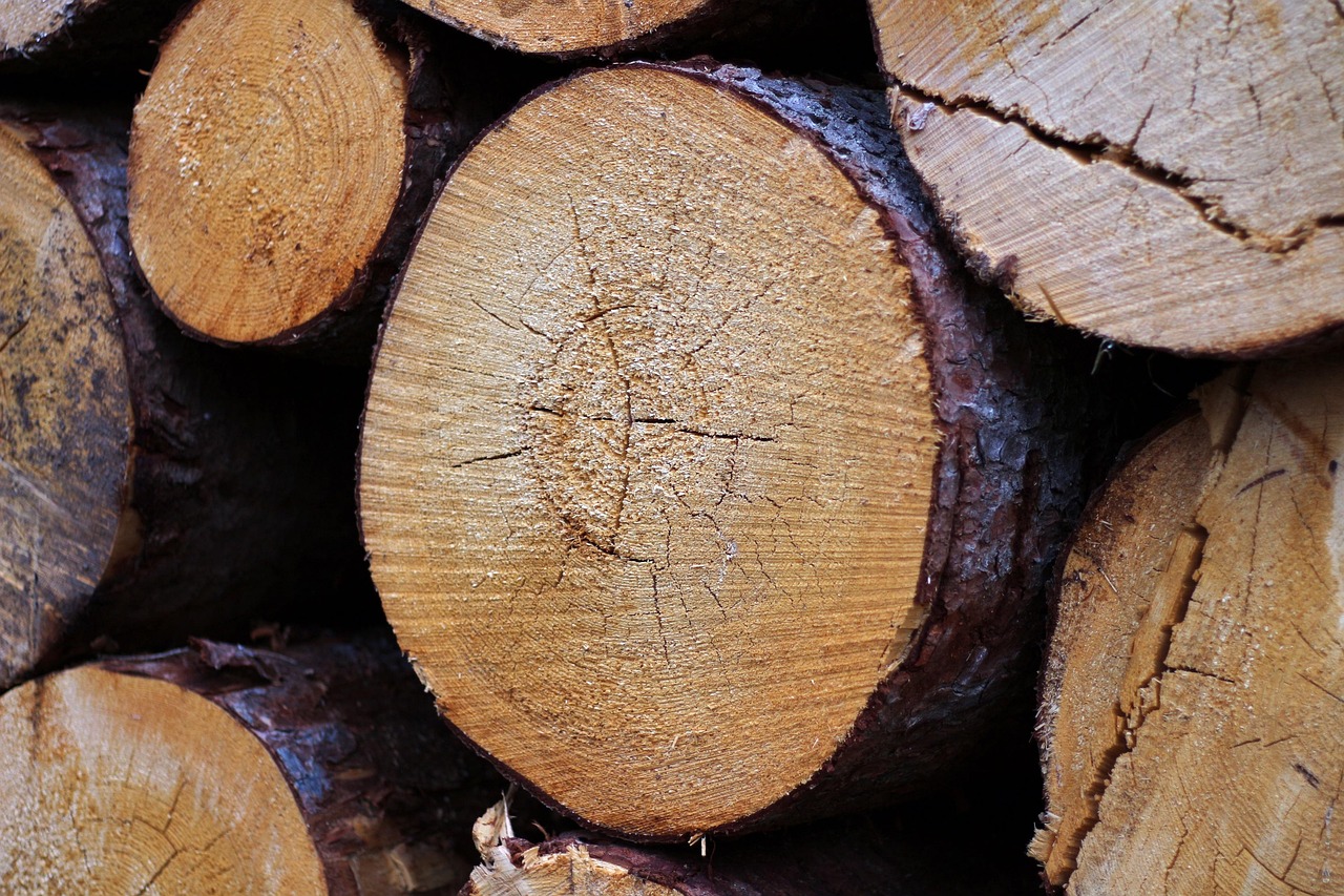 Certification and the EU Deforestation Regulation: Helpful, But Not Enough