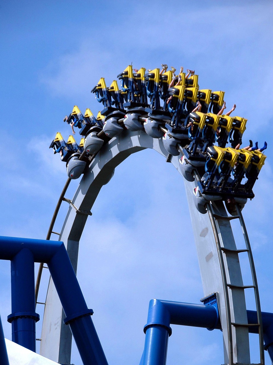 EUDR Timeline Roller-Coaster: From Regulations to "Stop-the-Clock" Calls